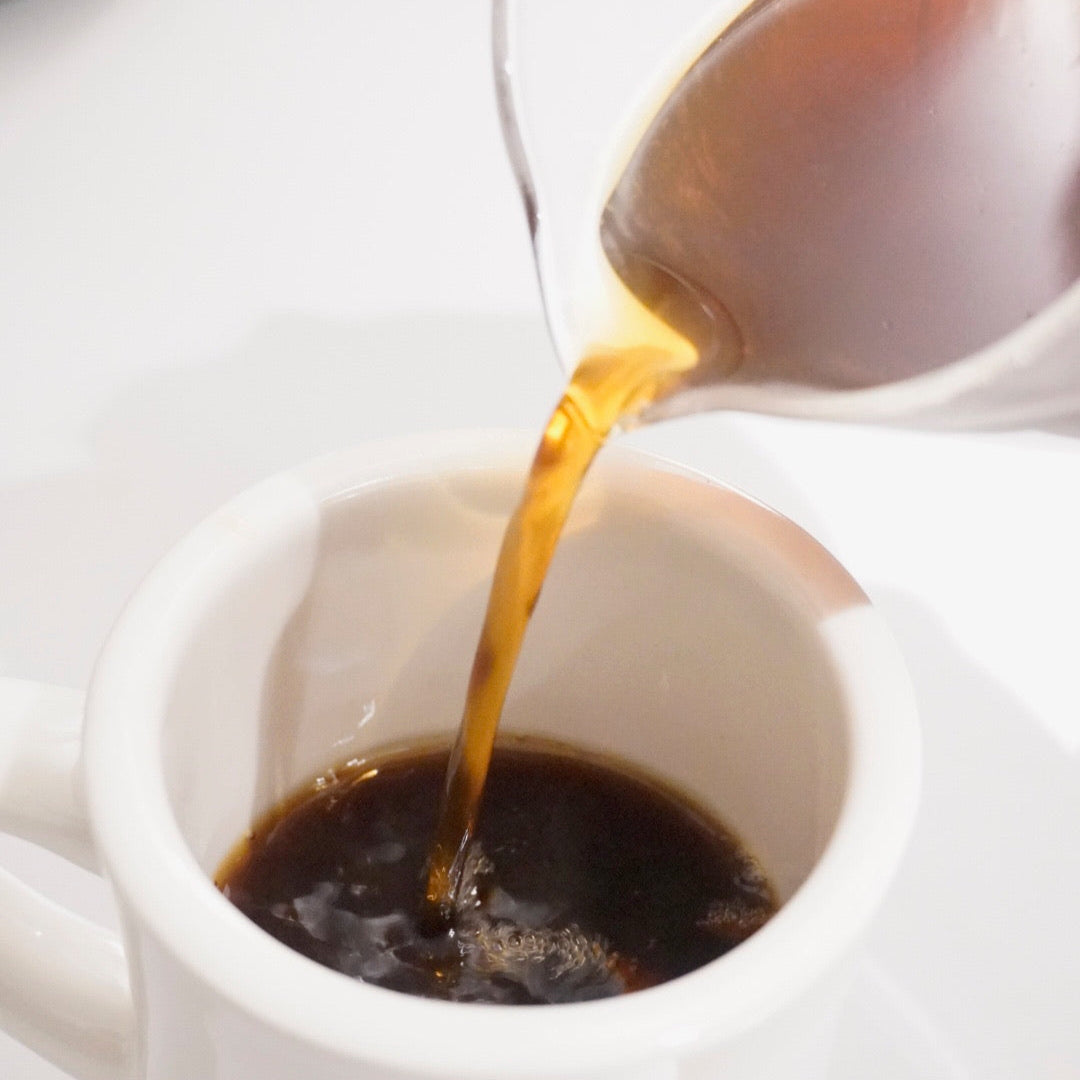 FIELD TRIP - MELKA GUMIE | ETHIOPIA