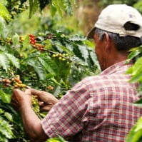 COMMUNITY, TAITA | COLOMBIA