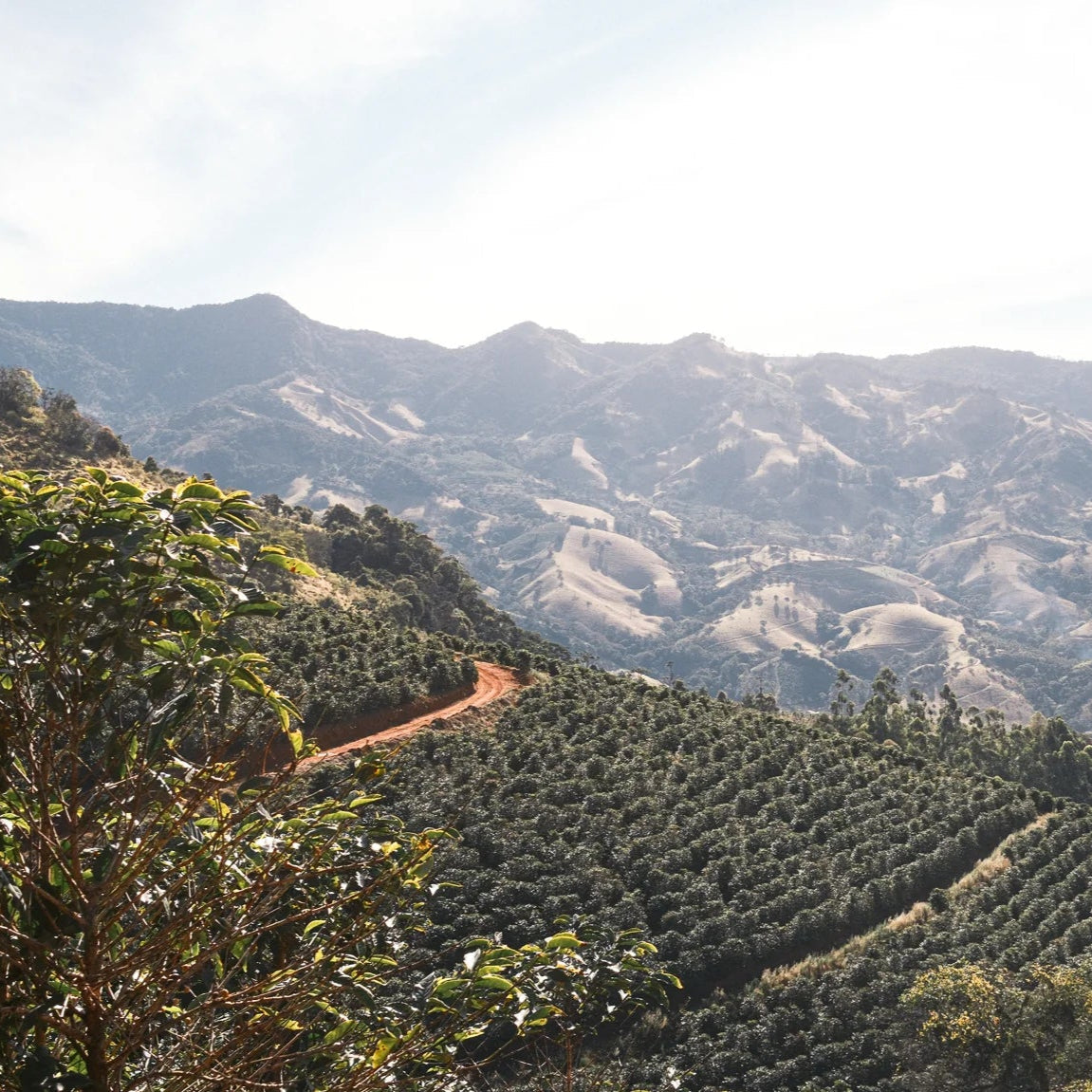 PARTNERSHIP - LOS POZITOS | NICARAGUA