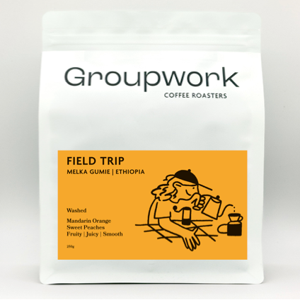 FIELD TRIP - MELKA GUMIE | ETHIOPIA