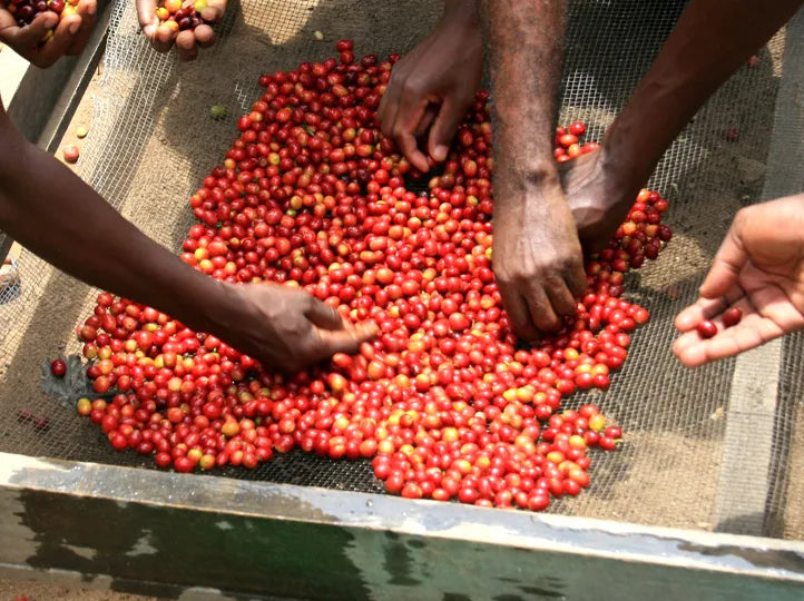 STORY TIME - BUKONZO, UGANDA