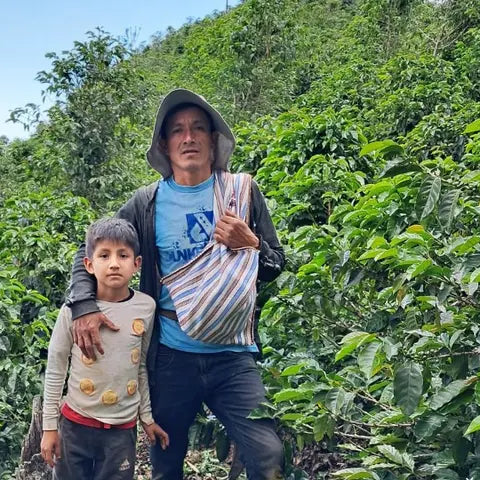 BALANCE - EL GUAYACAN | PERU