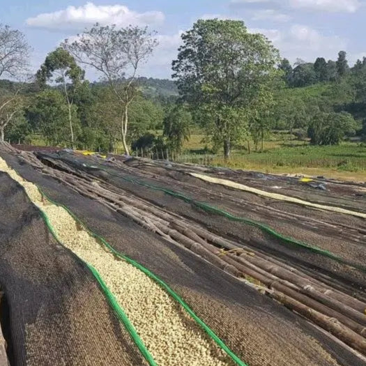 FIELD TRIP - TGSIT BORU | ETHIOPIA