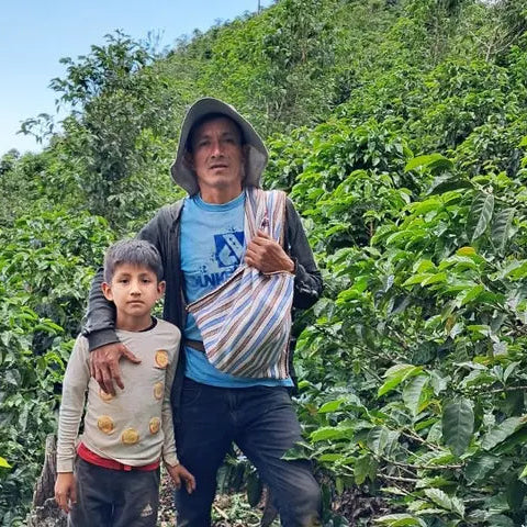 BALANCE - EL GUAYACAN | PERU