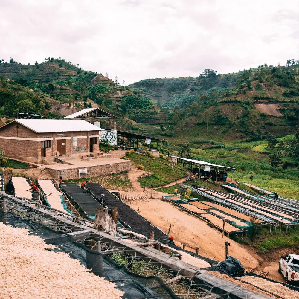 FIELD TRIP - KILIMBI | RWANDA