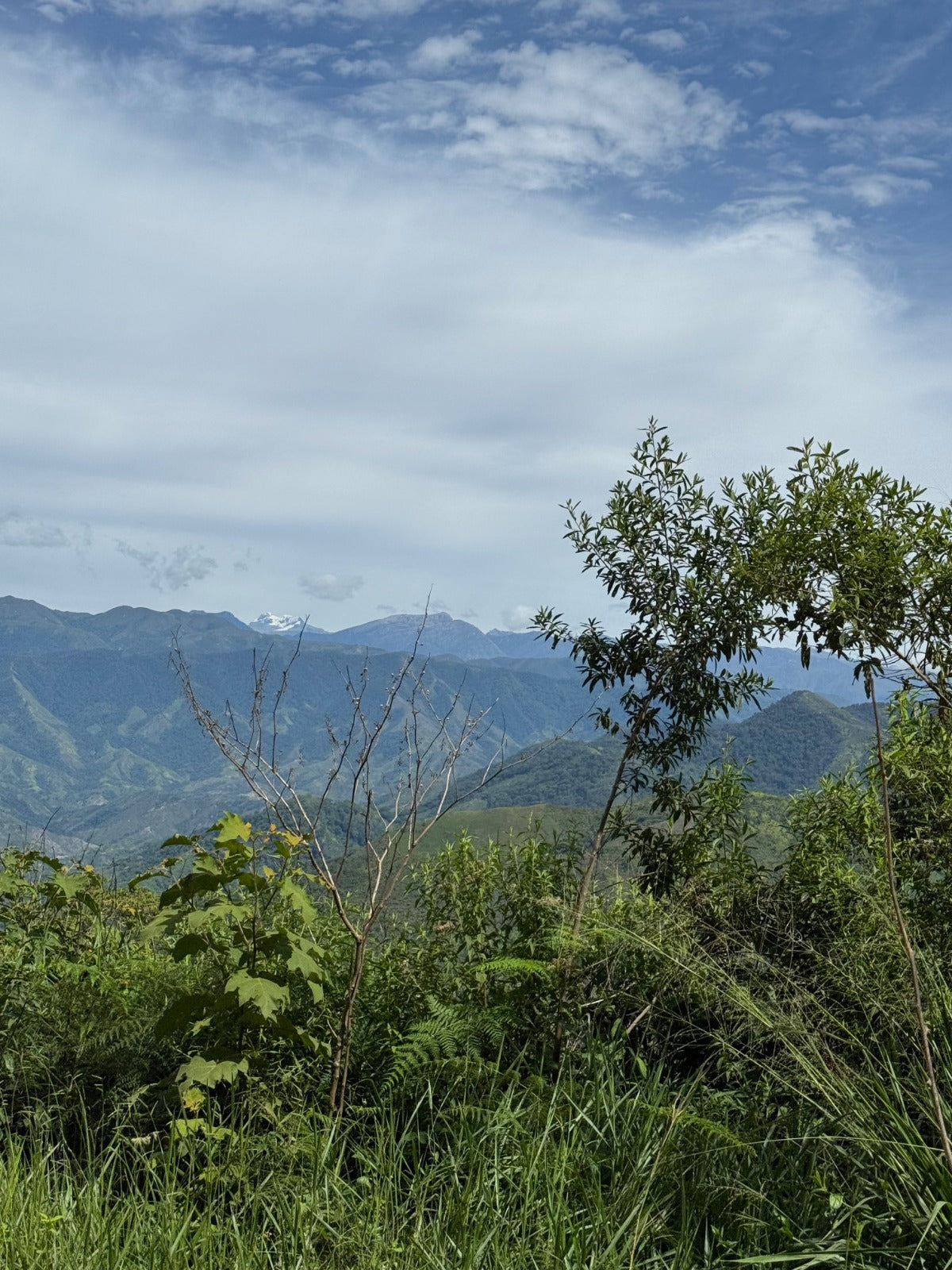 COMMUNITY, SIERRA NEVADA | COLOMBIA