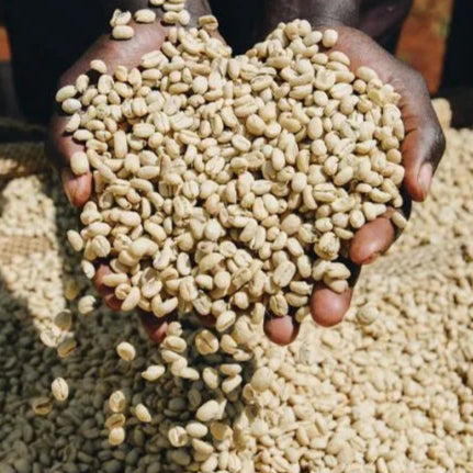 FIELD TRIP - TGSIT BORU, ETHIOPIA